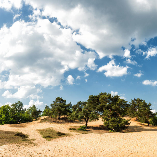 De omgeving